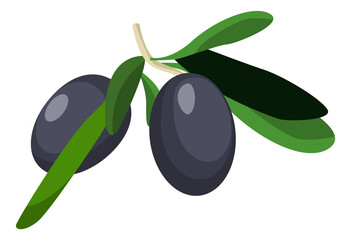 Wall Mural - Black olives icon. Green branch with leaves and ripe fruits