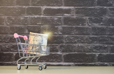 Wall Mural - Online shopping business concept, shopping cart trolley with money to receive order, US banknotes