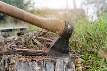 Splitting maul axe embedded in tree stump. Ax embedded in a stump.