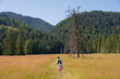 Tatra Mountains in summer