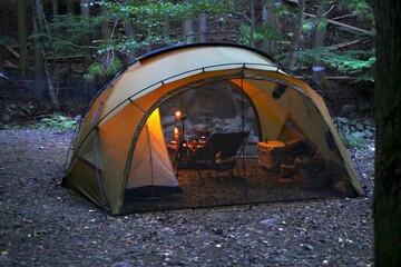 Wall Mural - tent in the forest