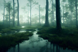 Fototapeta Na ścianę - A foggy swamp. Dark and mysterious. 