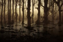 A Foggy Swamp. Dark And Mysterious. 
