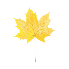 Poster - Autumn Maple Leaf