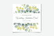© TM Art Shop - Watercolor green floral banner with silver dollar eucalyptus leaves and branches isolated on white background.
