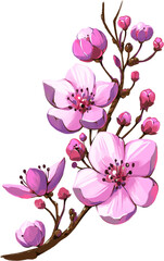 Wall Mural - Cherry blossom, sakura illustration
