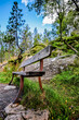 © Image'in - Close-up bench in the middle of Norwegian nature
