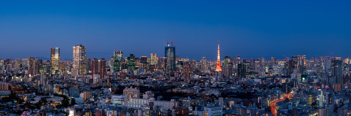 Wall Mural - Magic hour cityscape of Tokyo central area.
