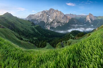 Wall Mural - Summer Panorama in Val Badia, Dolomites. In the background the Marmolada, located at the Dolomiti Range, Italy