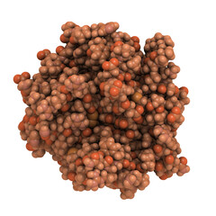 Wall Mural - Prostate-specific antigen (PSA), chemical structure