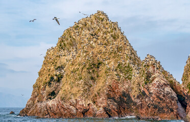 Wall Mural - The Island of Birds