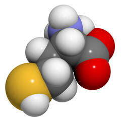 Sticker - Homocysteine (Hcy) amino acid, molecular model.