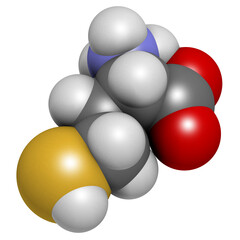 Poster - Homocysteine (Hcy) biomarker molecule. Increased levels indicate elevated risk of cardiovascular disease. 3D rendering.