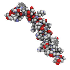 Wall Mural - glucose-dependent insulinotropic peptide or gastric inhibitory polypeptide (GIP), chemical structure