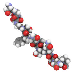 Sticker - Deamidated gliadin (gluten) peptide fragment, chemical structure. Gliadin is one of the principal allergens responsible for celiac disease.