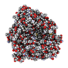 Sticker - Cytochrome p450 protein, chemical structure.