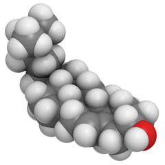 Sticker - Cholesterol, molecular model