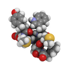 Canvas Print - Cholecystokinin-8 (CCK8) peptide molecule, chemical structure