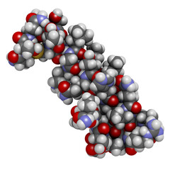 Poster - Salmon calcitonin peptide hormone drug, chemical structure.