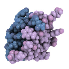 Poster - Human insulin molecule, chemical structure. Insulin is a peptide hormone used to treat type 1 diabetes.