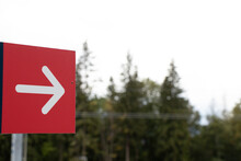 Red Arrow To The Right Against The Background Of A Green Forest In The Park, Turn To The Right