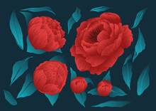 Conjunto De Elementos Florales, Recurso De Flores Rojas. Rosas Vectorizadas En Colores Rojos Y Verdes.