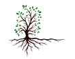 Symbol of the green tree with roots.