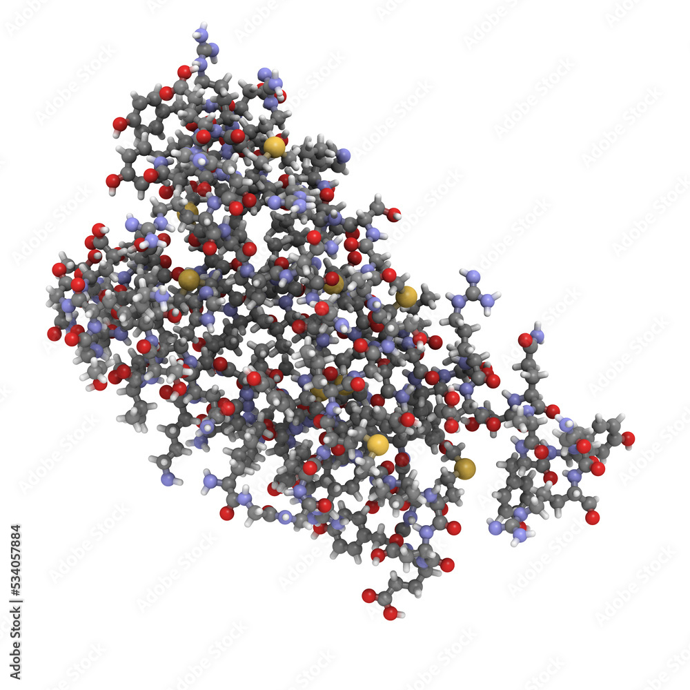Human prion protein molecule (hPrP), chemical structure. hPrP is ...