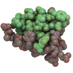 Sticker - Human insulin molecule, chemical structure. Insulin is a peptide hormone used to treat type 1 diabetes.