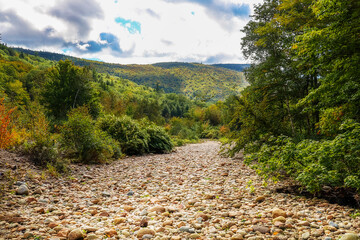 Wall Mural - Dry river bed going through the forest between mountains in the fall