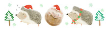 Watercolor Merry Christmas Hedgehog In Different Poses, Hand-drawn, Doddle Style, Christmas Tree, Hedgehog In Santa Hat
