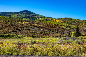 Wall Mural - Yellow Aspens Outside of Oakcreek Colorado