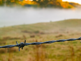 Poster - Misty morning scene dew on barbed wire fence wire