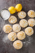 © FomaA - Sweet and sour lemon cookies with powdered sugar and zest close-up on the table. Vertical top view from above