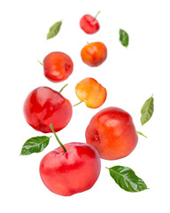 Wall Mural - Acerola cherry with green leaf falling isolated on white background.