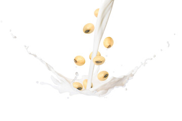 Wall Mural - Soybean milk splashing with soy bean falling isolated on white background.