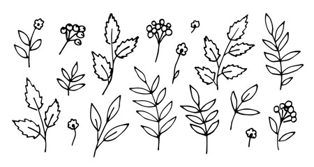 Wall Mural - Simple hand drawn vector sketch in ink. Floral set, flowers, branches with leaves, rowan berries, vegetation. Black and white drawing. Autumn seasonal design, leaf fall.