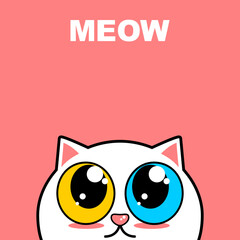 Wall Mural - Cute lovely little head face white cat with big yellow and blue eyes looking pink text meow cartoon character on pink background flat vector design.