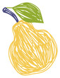 Pear fruit sketch. Color illustration. Pen or marker drawing