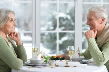 Poster - Beautiful elderly couple celebrating new year together 