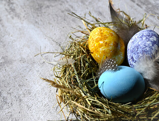 Colorful easter eggs in nest on meadow