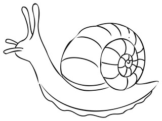 Wall Mural - Snail line art illustration, Cartoon animal drawing. PNG, with transparent background.