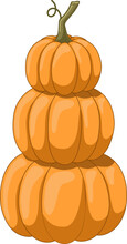 Stack Of Orange Pumpkins Vector Illustration