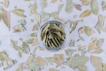 Wall Mural - Green dry bay leaves inside a cup container