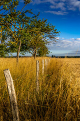 Wall Mural - Paysage campagne 1434