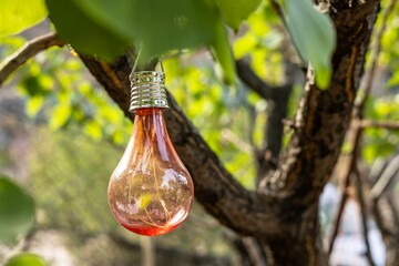 Wall Mural - Red light bulb hanging on a tree in an orchard