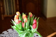 fresh tulips in a vase , nature, tulipany, kwiaty, kwiaty w wazonie, Poland