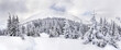 © Anastasiia Malinich - Winter landscape of mountains with path with footprints in snow following in fir forest and glade