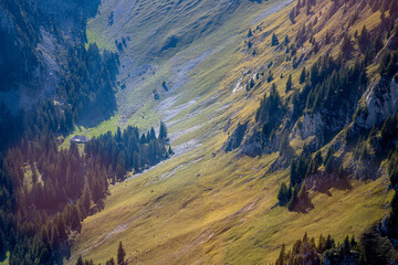 Canvas Print - Survole de la Suisse et des Alpes en petit avion