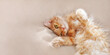 Cute ginger cat is sleeping on duvet in bed. Fluffy pet with curious funny expression on face. Beige background with copy space.